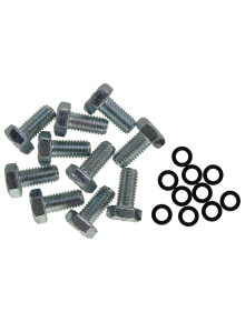 Raumer Πακέτο από 10 βίδες M8 - 8x16mm