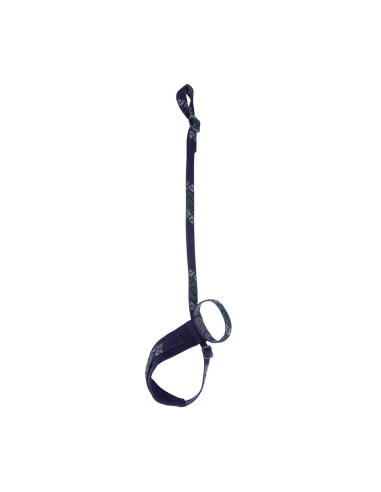 Ιμάντας για Πιολέ Black Diamond LockDown Leash