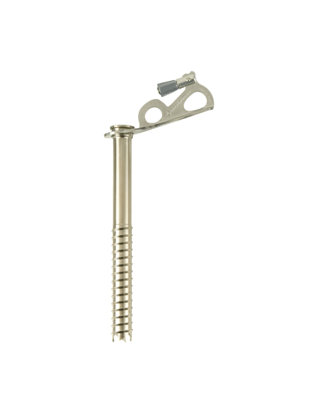 Black Diamond Express Ice Screw 19 cm