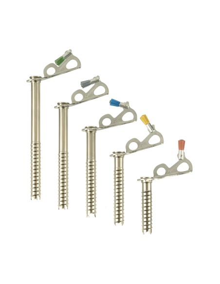 Black Diamond Express Ice Screw 19 cm
