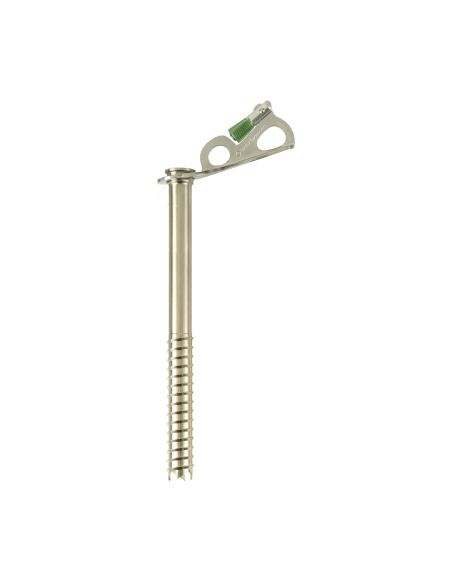 Black Diamond Express Ice Screw 22 cm