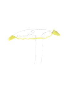 Grivel Axe guard