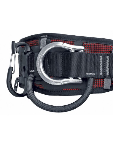 Porter Plastic Carabiner