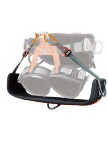Camp Access Swing