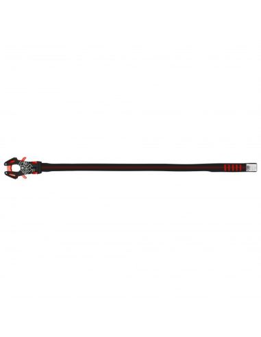 Σετάκι Kong Express Prog 45 cm