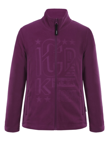 Παιδικό Fleece Icepeak Rue JR Μοβ