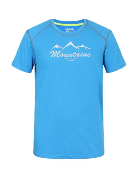 Ανδρικό T-shirt Icepeak Sachin Turquoise