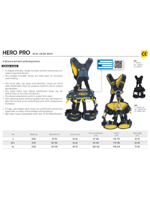 Εργατικό μποντριέ Beal hero Pro 2