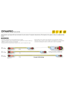 Ιμάντας Αυτασφάλισης Beal DynaPro 100 cm 2