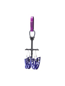 Friends Black Diamond Camalot C4 5 2019