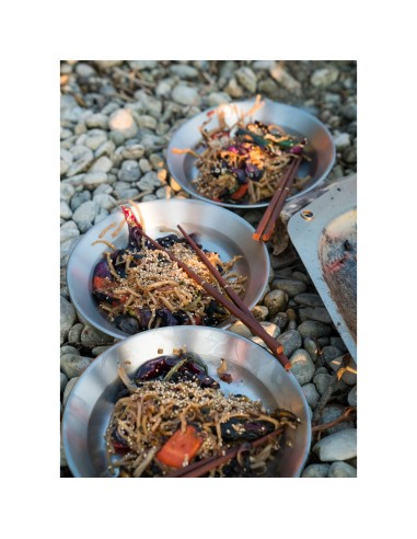Πιάτα Primus CampFire plate Stainless Steel