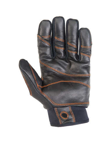 Γάντια αναρρίχησης Climbing Technology Progrip