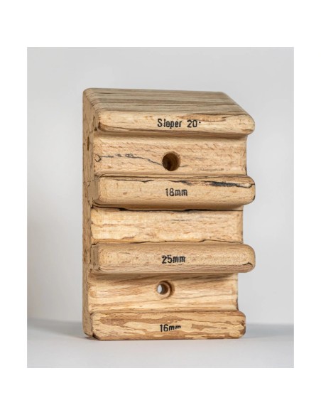 Αναρριχητικό μονόζυγό Gripmonkeys Climbing Holds Sloper 20 degrees Segment One Pair