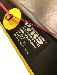 WRS International Rescue Pathways 2