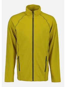 Ανδρικό Fleece Icepeak Bevigton Olive
