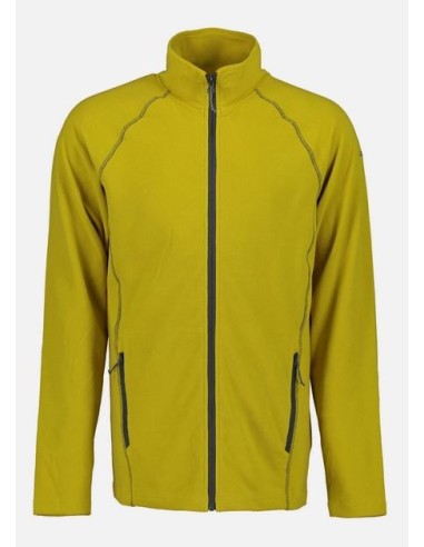 Ανδρικό Fleece Icepeak Bevigton Olive