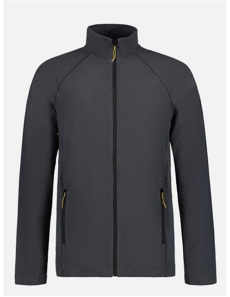 Ανδρικό Fleece Icepeak Bevigton Granite