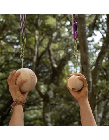Μπάλες ενδυνάμωσης Y&Y Vertical Climbing Balls 100mm