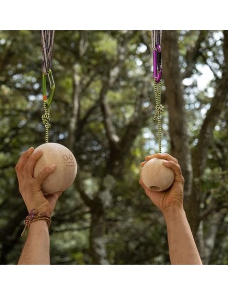Μπάλες ενδυνάμωσης Y&Y Vertical Climbing Balls 100mm
