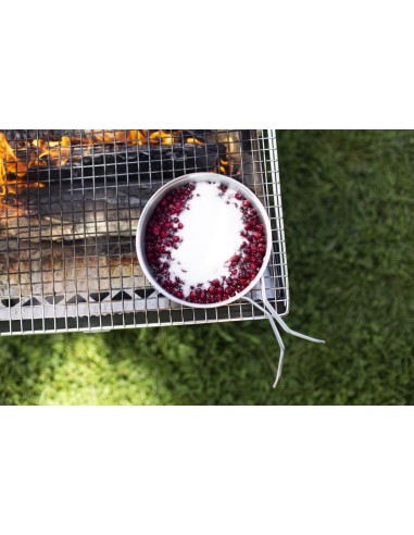 Ψησταριά Primus Kamoto OpenFire Pit