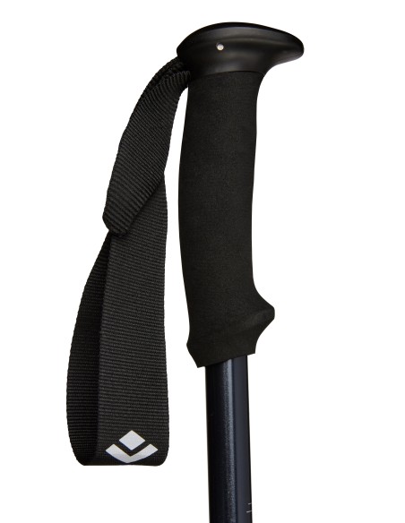 Μπατόν Black Diamond Explorer 2 Trekking Poles Ink Blue