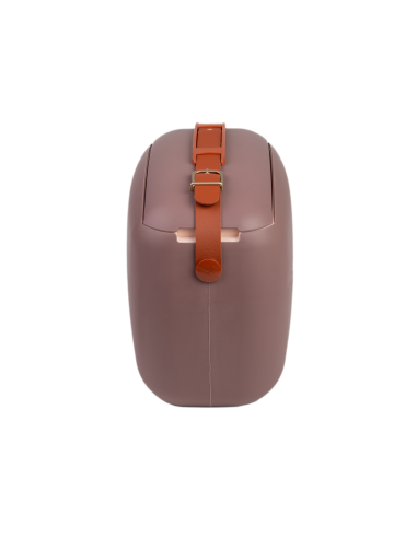 Ισοθερμικό Ψυγείο Polarbox POP 6lt - Mauve