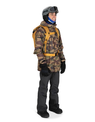 Σακίδιο Ski Osprey Soelden 22 Black