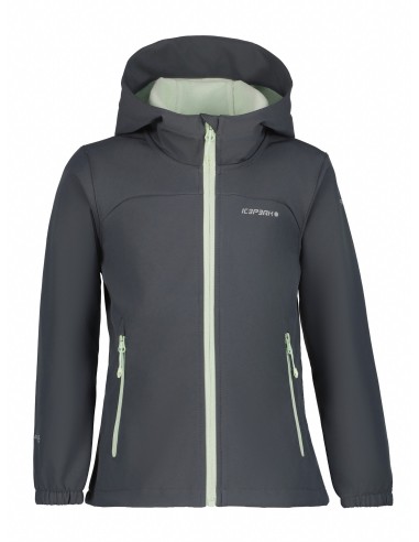 Παιδικό Softshell Jacket Icepeak Kobryn JR Granite