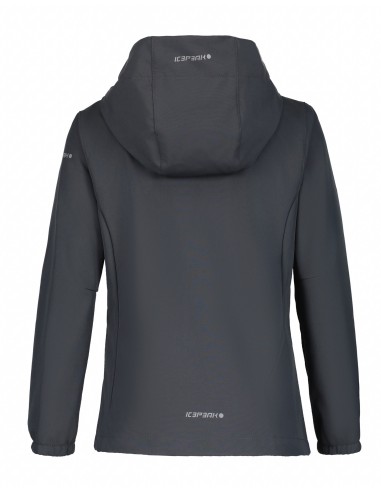 Παιδικό Softshell Jacket Icepeak Kobryn JR Granite