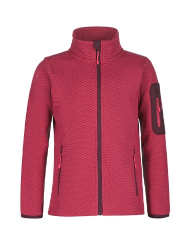 Παιδικό Fleece Jacket Icepeak Kemnath Jr Raspberry