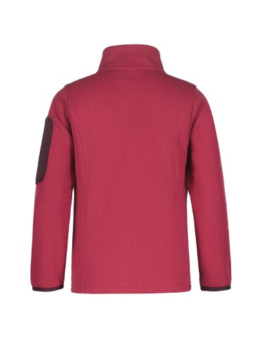 Παιδικό Fleece Jacket Icepeak Kemnath Jr Raspberry