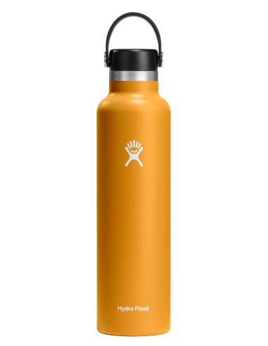 Θερμός Hydro Standard Flex Cap 710ml - Fossil