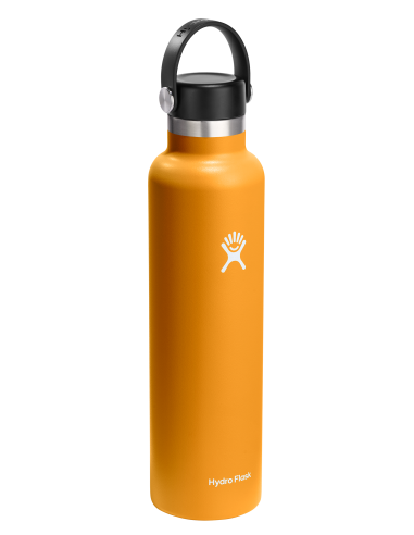 Θερμός Hydro Standard Flex Cap 710ml - Fossil