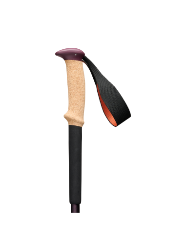 Μπατόν Black Diamond Trail Cork Trekking Poles Fig