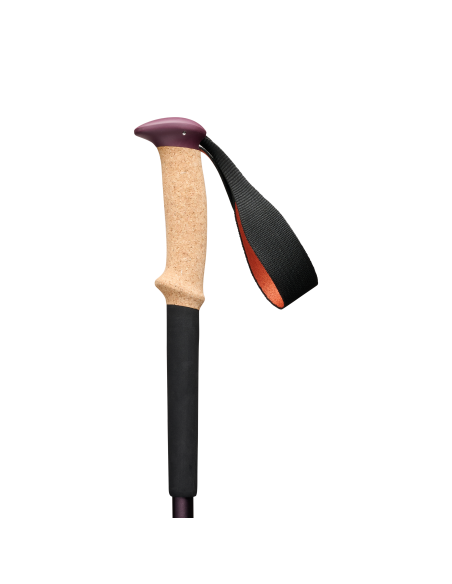 Μπατόν Black Diamond Trail Cork Trekking Poles Fig