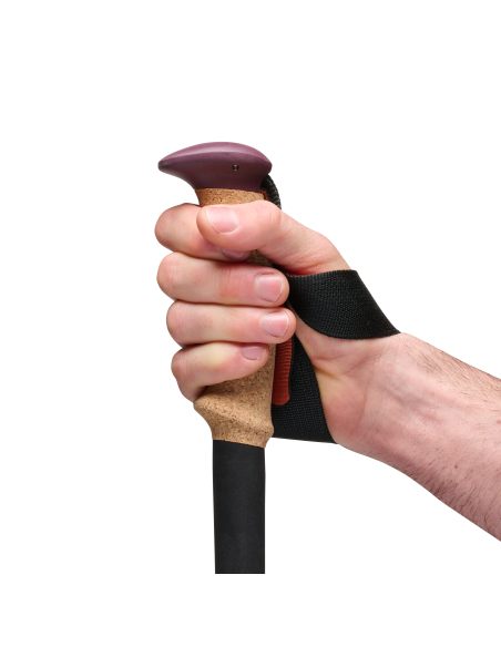 Μπατόν Black Diamond Trail Cork Trekking Poles Fig