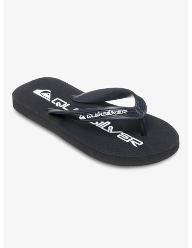 Παιδικά Flip-Flop Quiksilver Java Wordmark Youth Black
