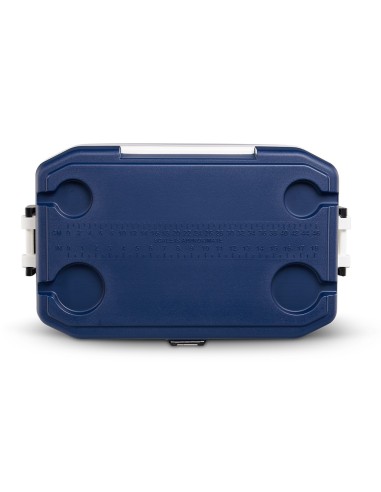 Ψυγείο Igloo Maxcold Latidude 54 - 51L