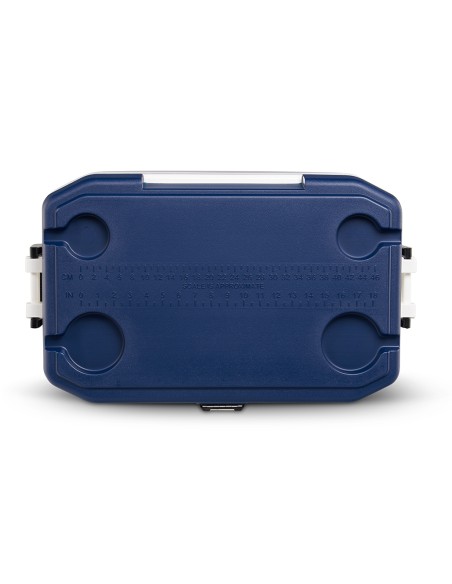 Ψυγείο Igloo Maxcold Latidude 54 - 51L