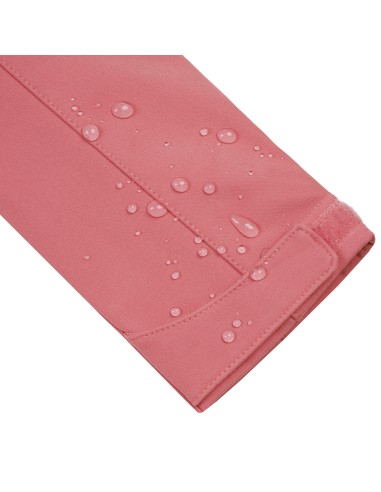 Γυναικείο Softshell Jacket Icepeak Brenham Pink